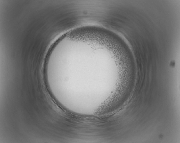 X0000116840391201001291709