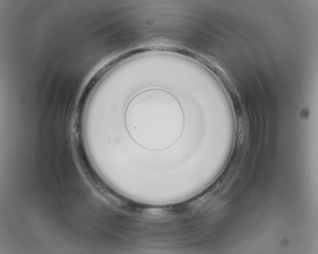 X0000116840392201001291709