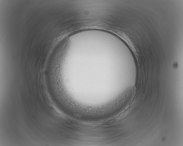 X0000116840393201001291709