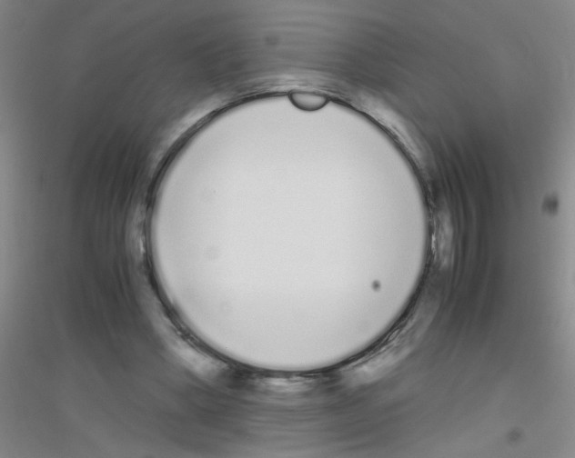 X0000116840394201001291709