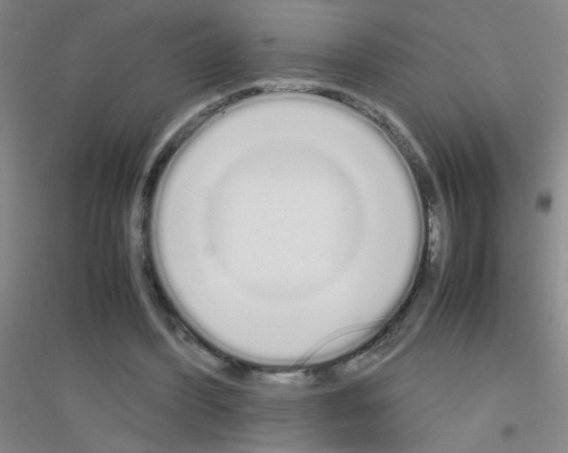 X0000116840396201001291709