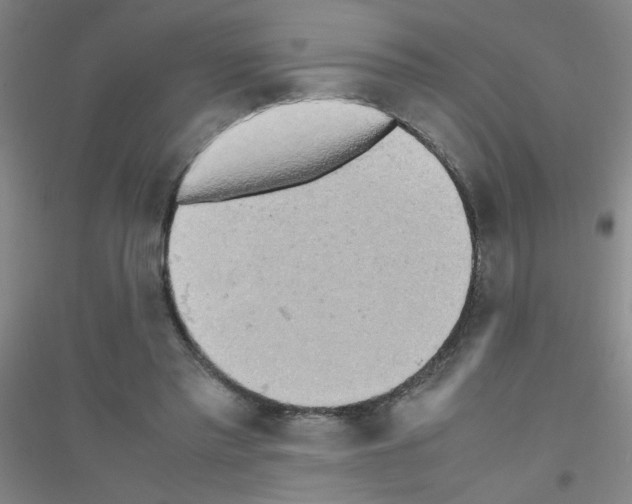 X0000116840397201001291709