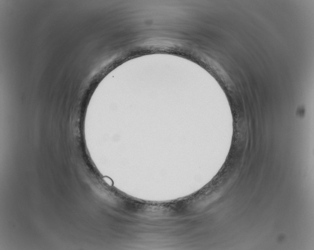 X0000116840399201001291709