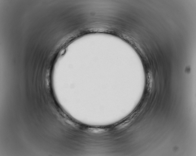 X0000116840400201001291709