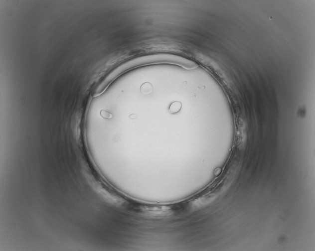 X0000116840402201001291709