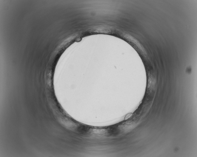X0000116840403201001291709