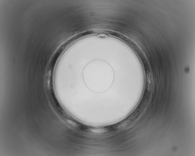 X0000116840404201001291709