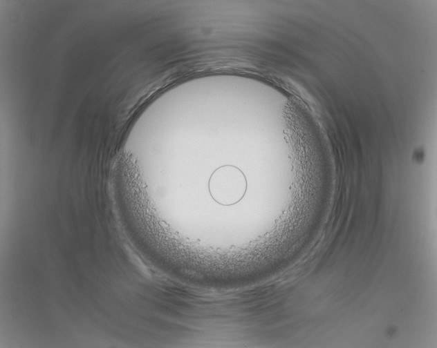 X0000116840405201001291709