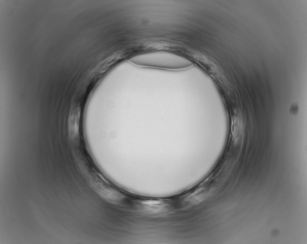 X0000116840406201001291709