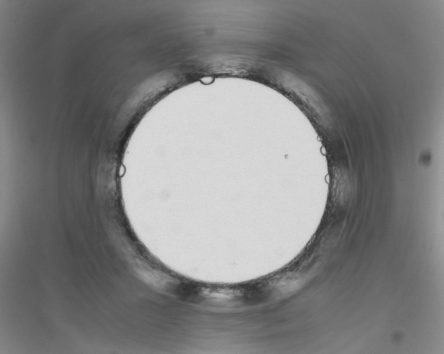 X0000116840407201001291709