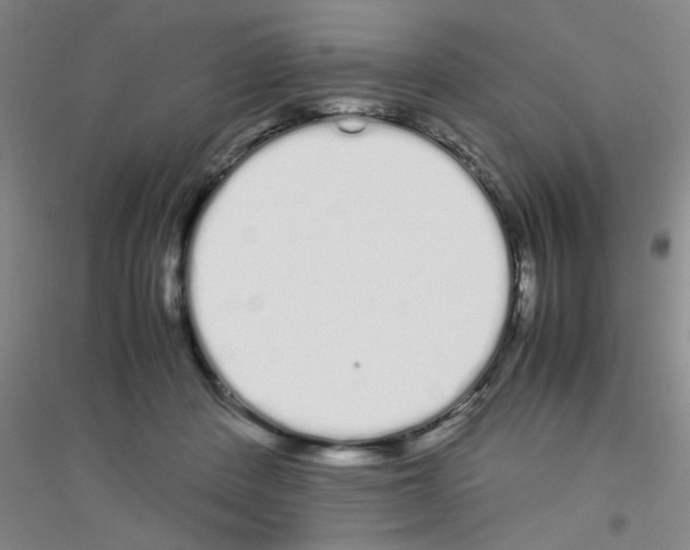 X0000116840408201001291709
