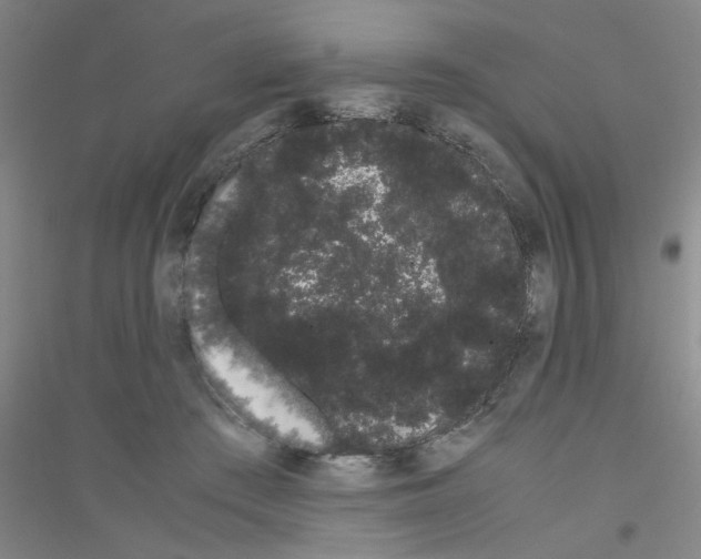 X0000116840409201001291709