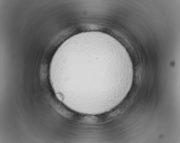 X0000116840410201001291709