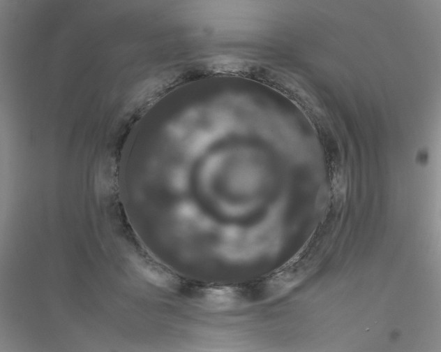 X0000116840411201001291709
