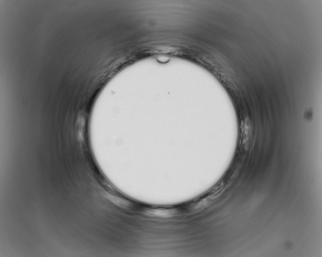 X0000116840412201001291708