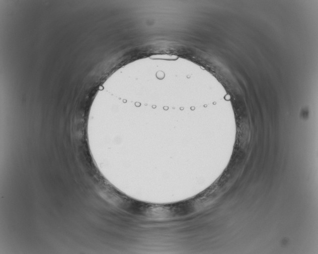 X0000116840413201001291708