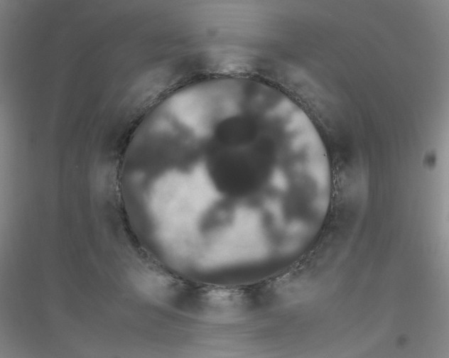 X0000116840415201001291708
