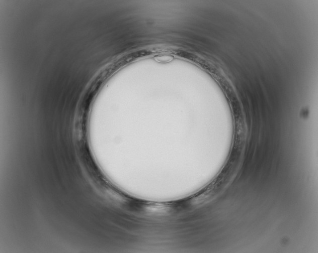 X0000116840416201001291708