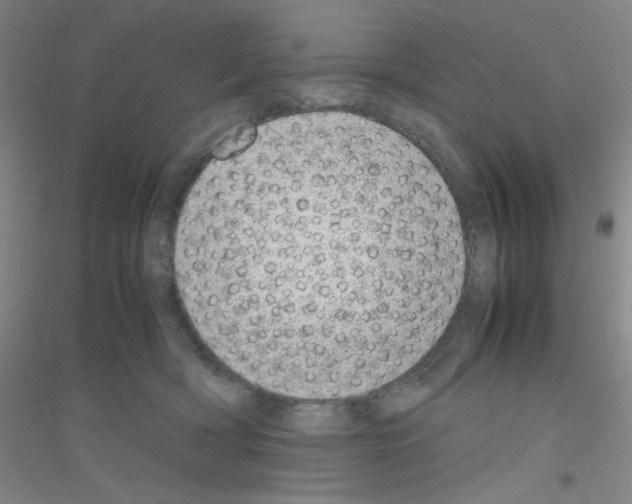 X0000116840418201001291708