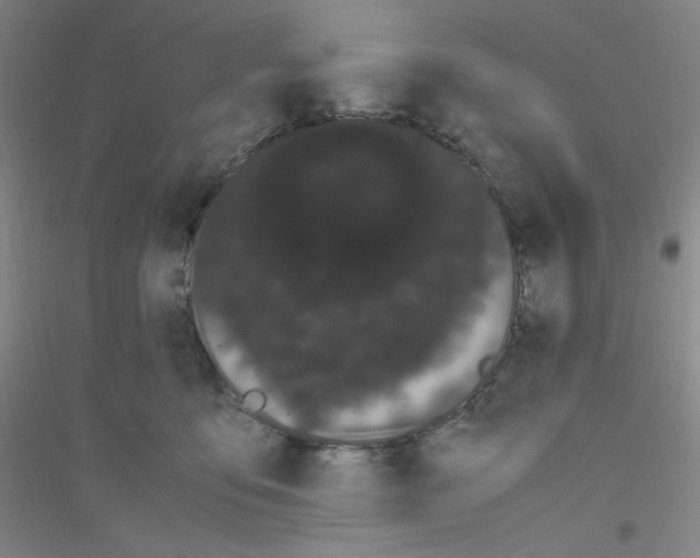 X0000116840419201001291708
