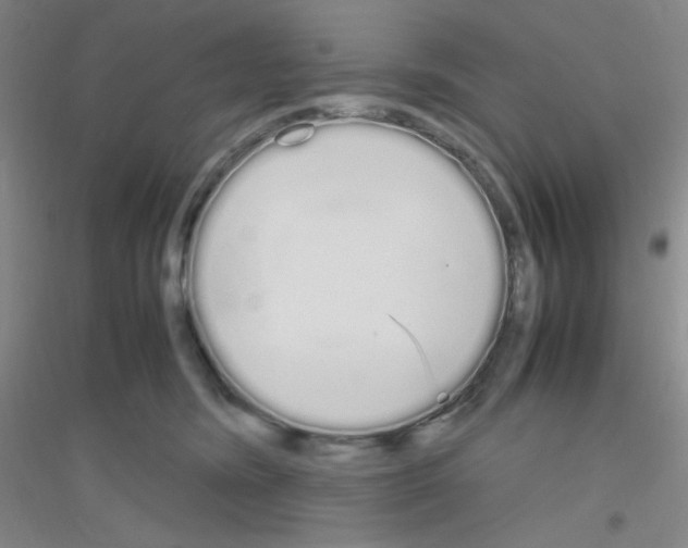 X0000116840420201001291708