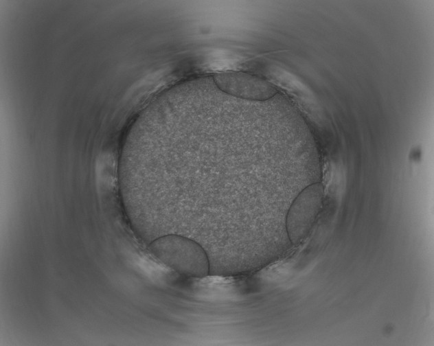 X0000116840421201001291708
