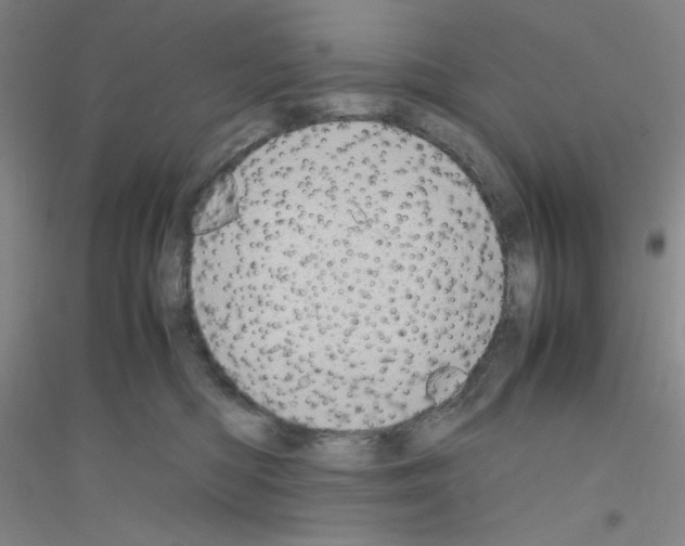X0000116840422201001291708