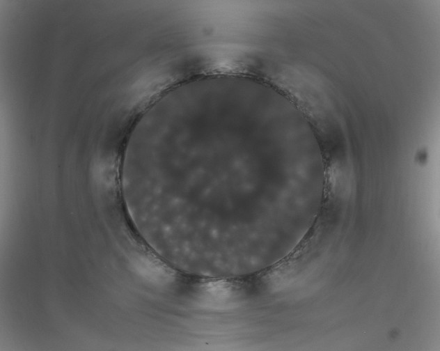 X0000116840423201001291708