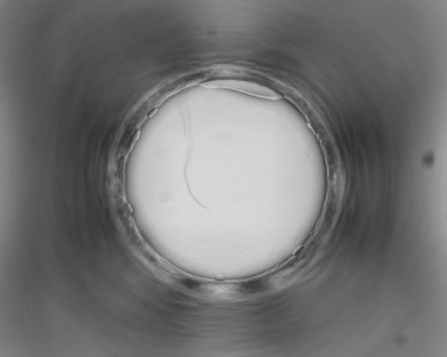 X0000116840424201001291708