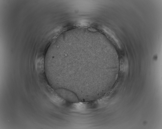 X0000116840425201001291708