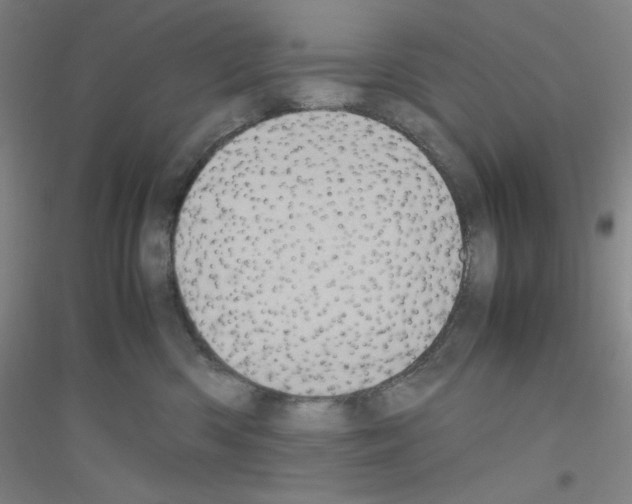 X0000116840426201001291708