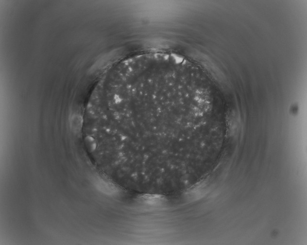 X0000116840427201001291708