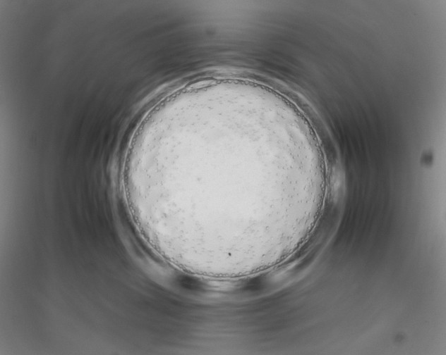 X0000116840428201001291708