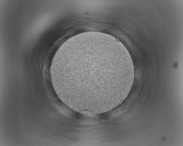 X0000116840429201001291708