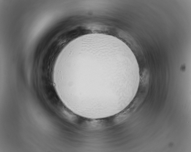 X0000116840430201001291708