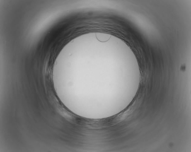 X0000116840431201001291708