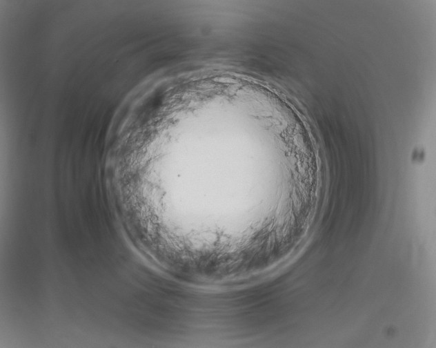 X0000116840432201001291708