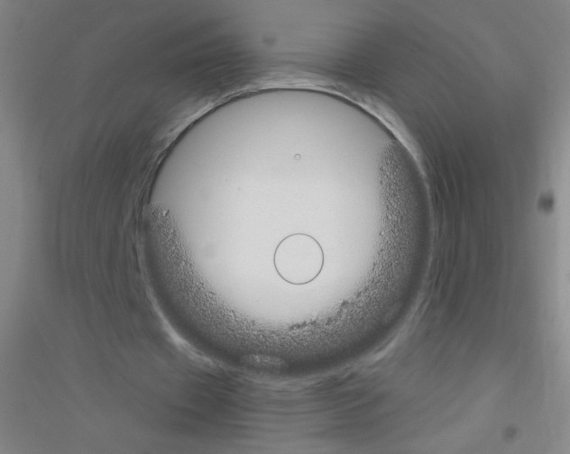 X0000116840433201001291708