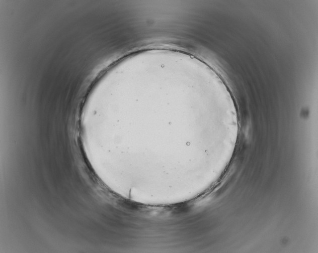 X0000116840434201001291708