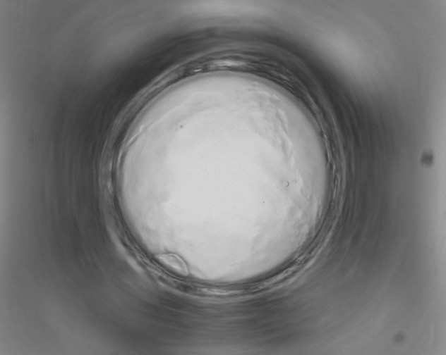 X0000116840435201001291708