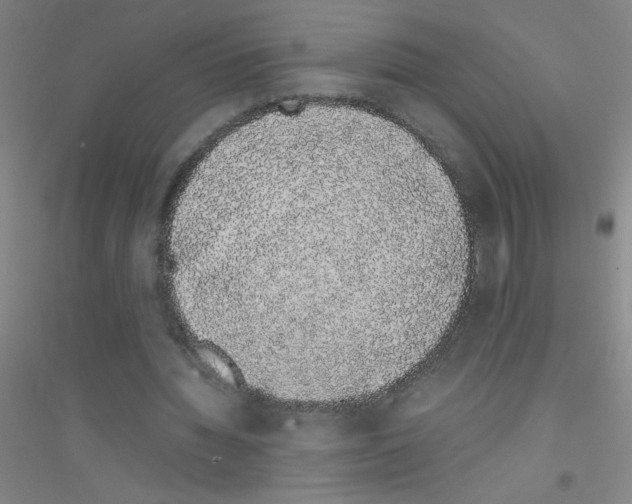 X0000116840436201001291708