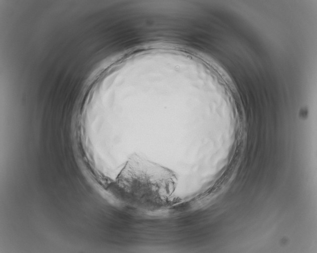 X0000116840437201001291708