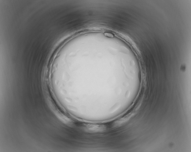 X0000116840439201001291708