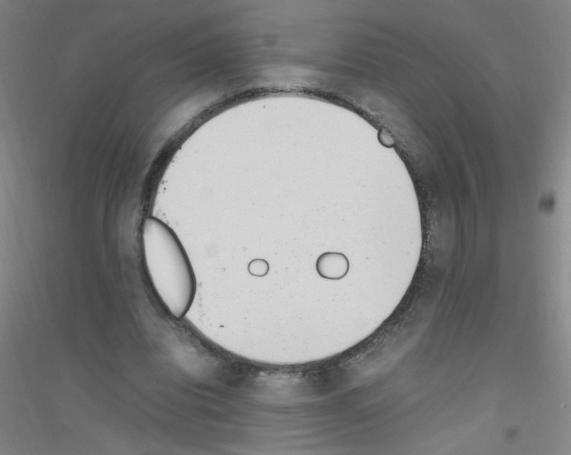 X0000116840440201001291708