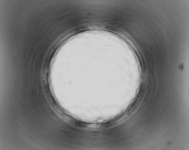 X0000116840441201001291708