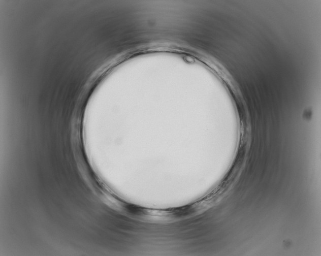 X0000116840442201001291708