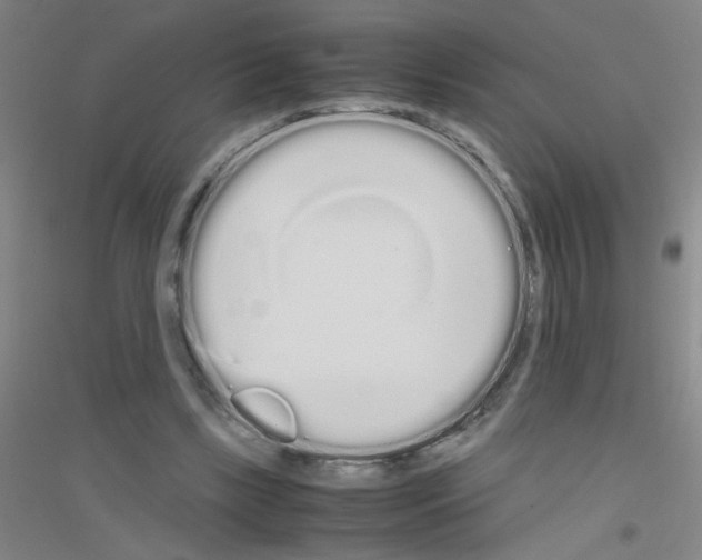 X0000116840443201001291708