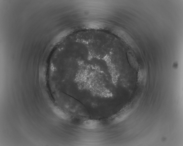 X0000116840444201001291708