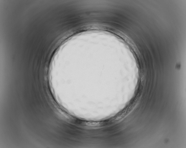 X0000116840445201001291708