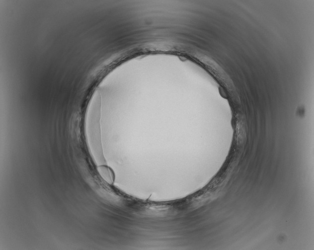 X0000116840446201001291708